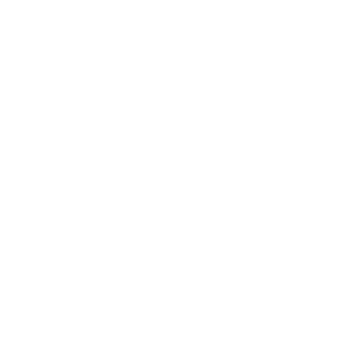 Montana logo